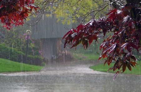 Dirçəliş Gününün havası: Yağış, qar, şaxta...