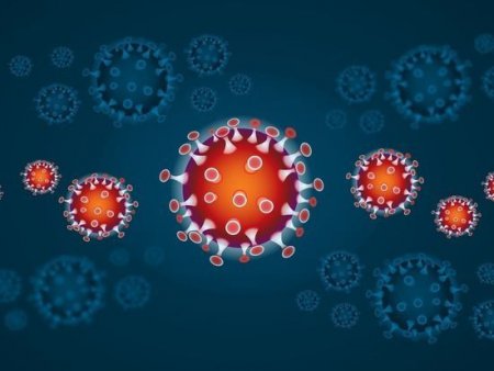 Koronavirus təhlükəsinin sirri aşkara çıxarıldı: İnsan zülalı...