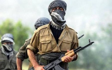 Qarabağda daha 12 PKK/YPG terrorçusu məhv edildi