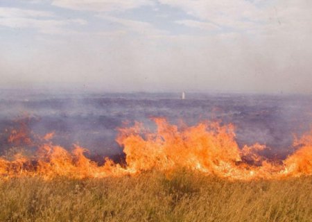 Ermənilər Qazaxla sərhəd ərazidə yanğın törətdi