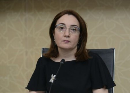 “Peyvəndlərin tərkibi ilə bağlı hər kəsin narahatlığını başa düşürük” - Yaqut Qarayeva